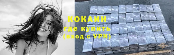 винт Осинники